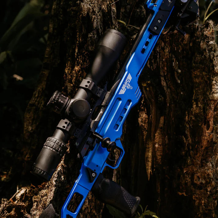 AIM Bravo .22 Chassis
