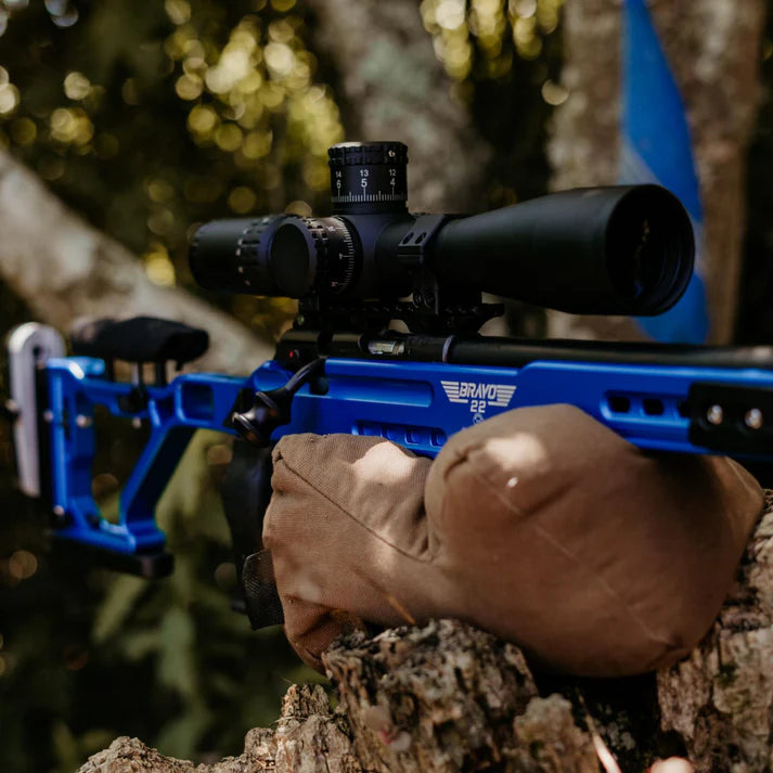 AIM Bravo .22 Chassis