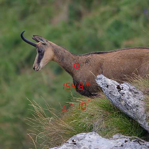 GPO RANGEGUIDE 3200 10×40