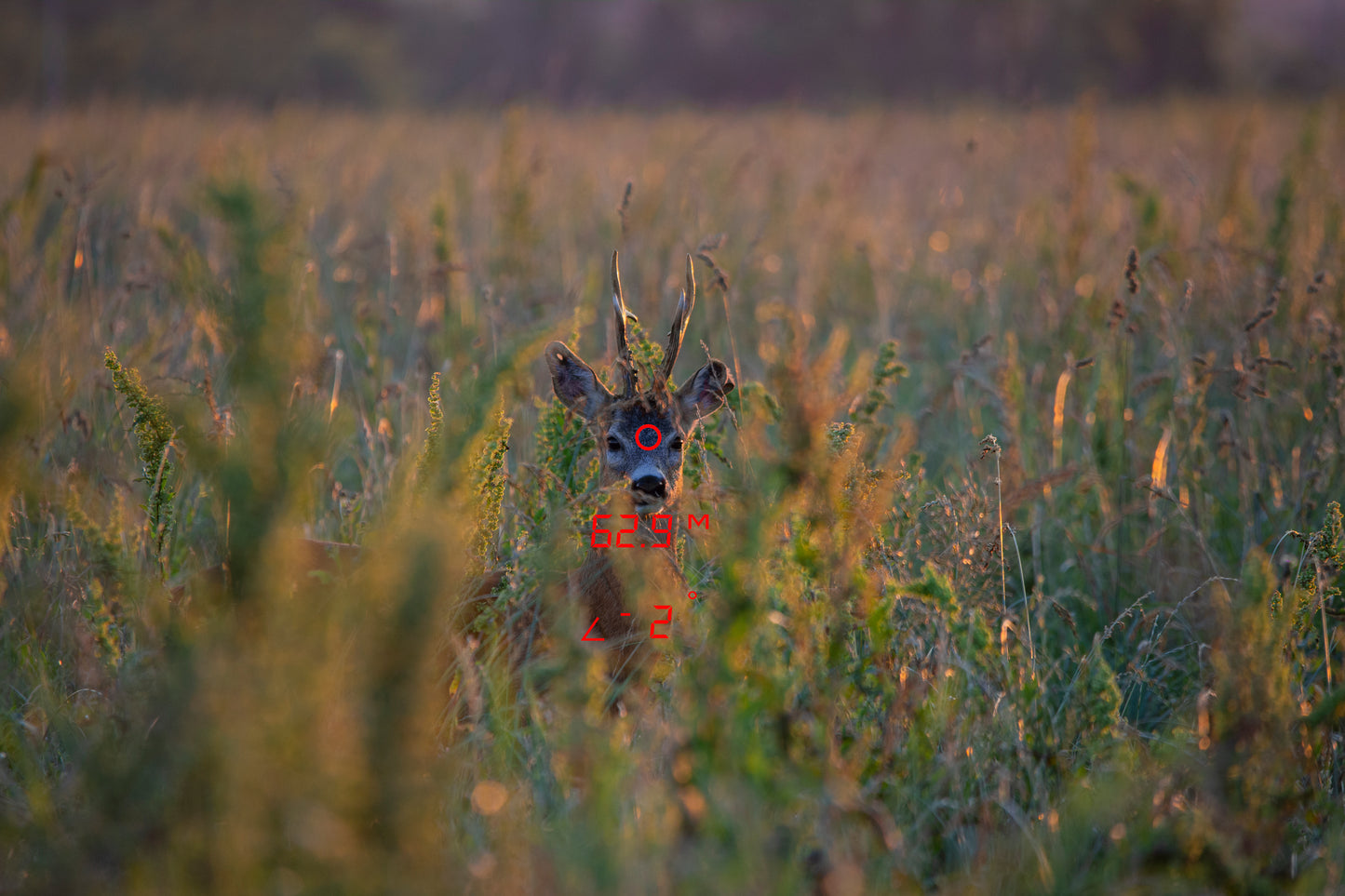 GPO RANGETRACKER 2000