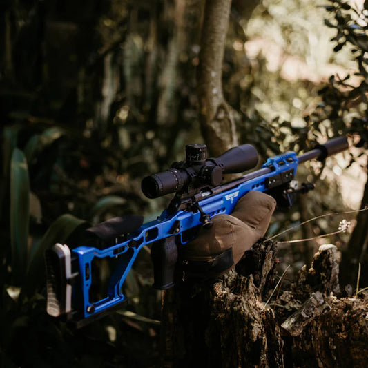 AIM Bravo .22 Chassis