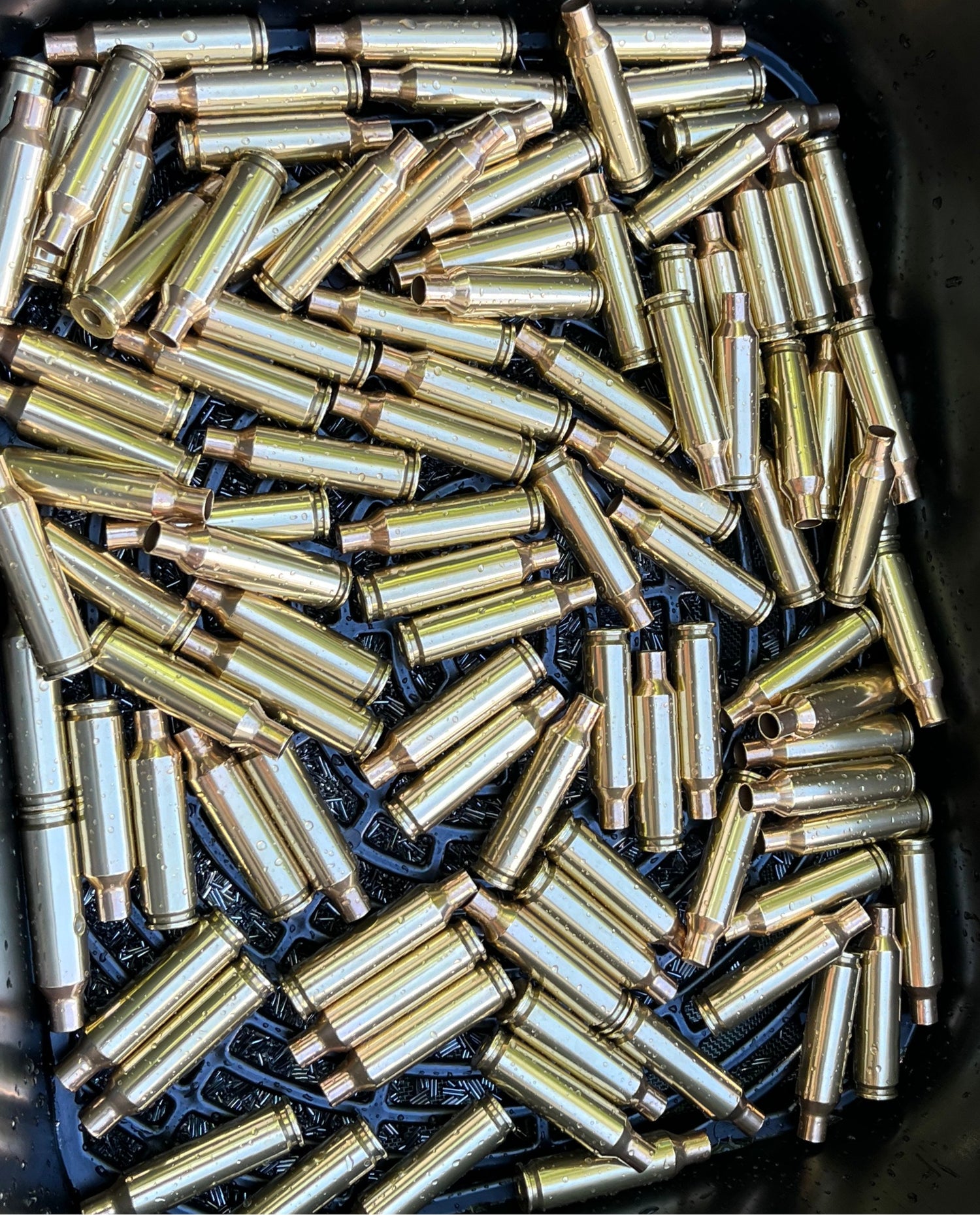 Lapua Reloading Brass
